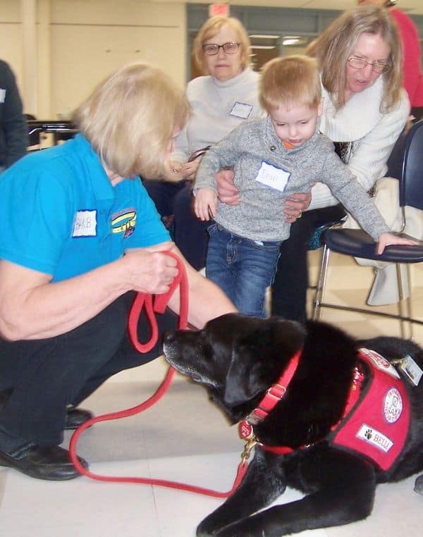 Therapy-dogs-3-e