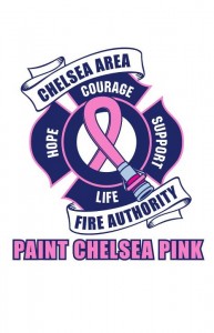 Paint Chelsea Pink logo