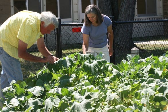 File photo. Jim Randolph, president of the Senior Center Board, and Mary Randolph, a volunteer, in the Intergenerational Garden. 