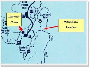 Discovery Center Trail Map