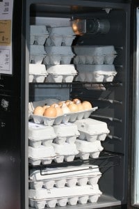 Customers can generally find fresh farm eggs at the Saturday Farmers Market. 