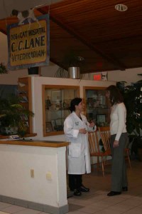 Dr, Margaret Lane and Dr. Andrea McRae chat inside Lane Animal Hospital.