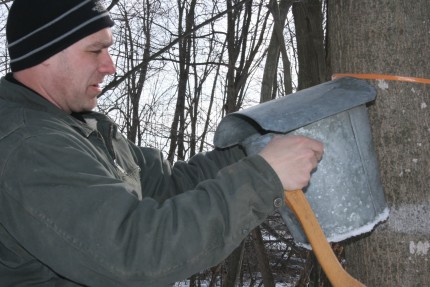 Kirk Hedding adds a bucket under a tap at H & H Sugarbush, LLC in Sylvan Township.