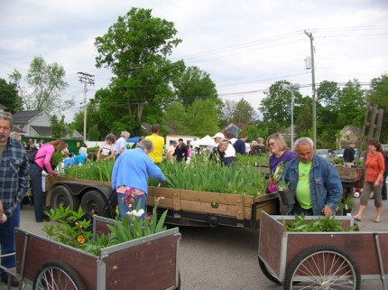 Courtesy photo from a previous Chelsea Area Garden Club plant sale. 
