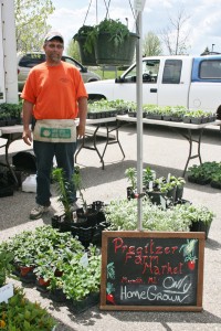 All sorts of veggie plants from Pregitzer Farm Market.