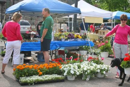A scene from the Saturday Downtown Farmers' Market.