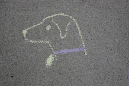 Dog head chalk art from Friday's summer reading party at the Chelsea District Library.