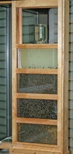 Courtesy photo. Observation hive at The Discovery Center.