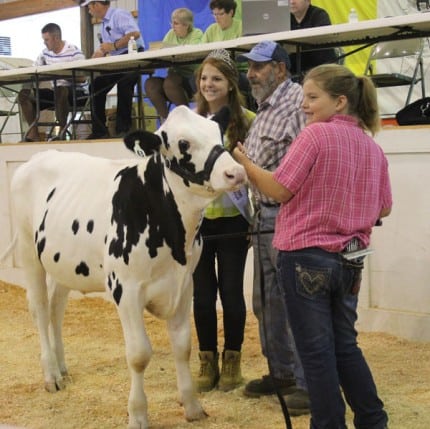 Emily Trinkle with her reserve champion feeder calf.