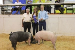 Zeke Breuninger and his reserve grand champion pair of pigs. 
