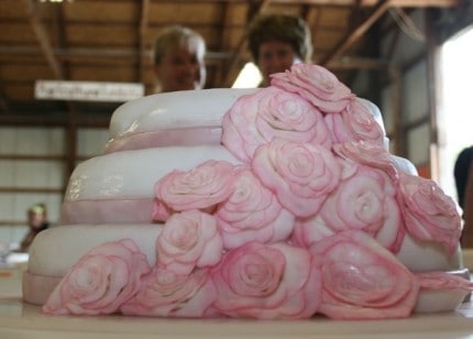 Gorgeous decorated cake.