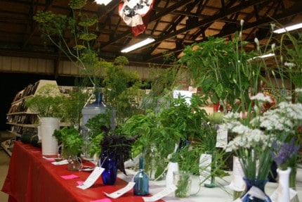 Some of the beautiful herbs entered at fair. 