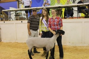 Samantha Bies and her reserve grand champion lamb.