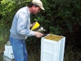 Courtesy photo. Charles Durbin beekeeping.