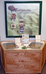 Courtesy photo. One of the three WNHA-funded living life cycle exhibits.