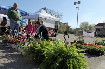 A scene from the Saturday Farmers' Market.
