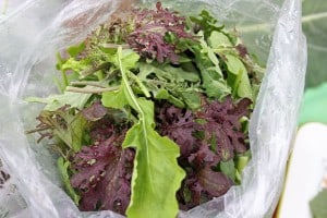 bag-of-lettuce