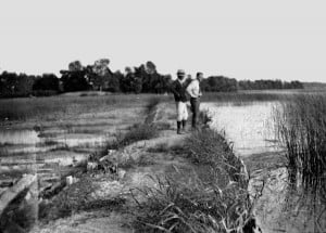 Courtesy photo. The dike at Big Portage Lake in 1936.