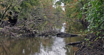 Photo by Tom Hodgson. Portage River.