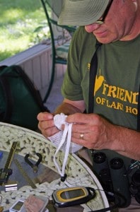Hummingbirds are placed in soft mesh bags until he is ready to band them.