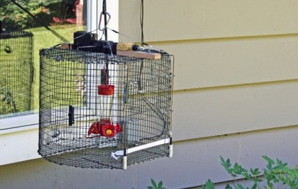Hummingbird trap awaiting a hungry hummer.