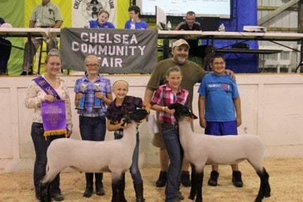 Grand champion pair of lambs owned by Lilianne Trinkle and purchased by Dimos Deli and Donuts. 