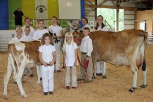 Representatives of four of the five dairy breeds showed at the Chelsea Community Fair. In the photo are all of the dairy showmen.
