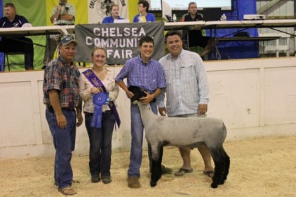 Reserve grand champion lamb owned by Mason Trinkle and purchased by Staffan-Mitchell Funeral Home. 