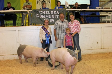 Reserve grand champion pair of pigs owned by Olivia McCalla and purchased by Krull Construction. 