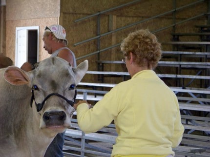 Dairy cattle show at 10 a.m. Thursday. 