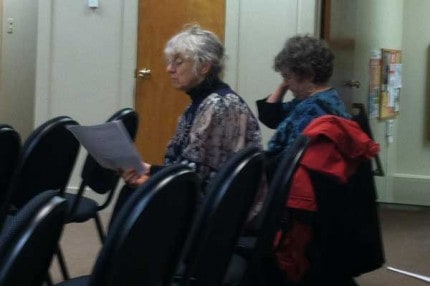Lyndon Township resident Susan Morse address the board.