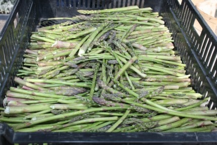 Expect fresh asparagus at market Saturday but get there early to find it. 