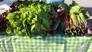 Look for lots of varieties of veggies Saturday at the 