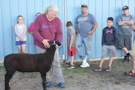 Lisa Lutchka, one of the sheep superintendents, demonstrated setting up a lamb at a practice session at the Chelsea Community Fairgrounds on July 13.