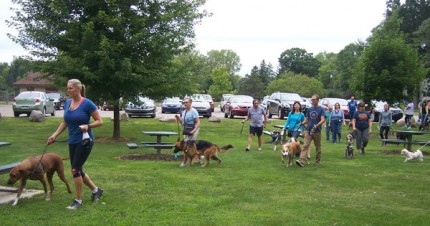 Photo by Lisa Carolin. A scene from the first Chelsea Community Dog Walk.