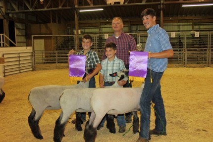 Tanner Trinkle in center took grand champion pair of lambs and Mason Trinkle (right) took grand champion individual lamb.