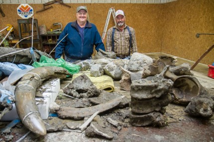 Photo by Burrill Strong. Trent Satterthwait (left) and Jim Bristle pose for a photo with some of the Woolly Mammoth bones.