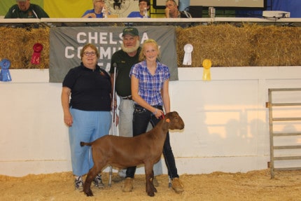 Bordine Farms purchased the grand champion goat from Kara O'Day for $325.