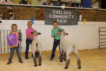 Polly's Country Market purchased the grand champion pair of lambs for $10 per pound. The lambs weighed 127 and 132 pounds respectively.