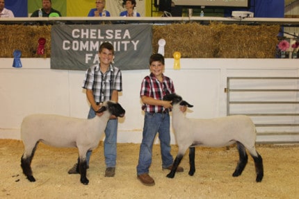 Polly's Country Market purchased the reserve grand champion pair of lambs from Ranner Trinkle for $14 per pound. The lambs weighed 138 and 120 pounds respectively. 