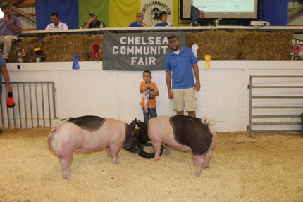 Chelsea Grain purchased the reserve grand champion pair of pigs from Logan Powers. They weighed 261 and 251 pounds respectively.