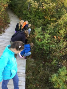 Courtesy photo from Andrea Bavineau. Students look for nature at work.