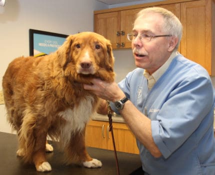 Dr. Roberts Bowers and Ryan, one of the thousands of pets he's treated over the last 45 years at Lane Animal Hospital. 
