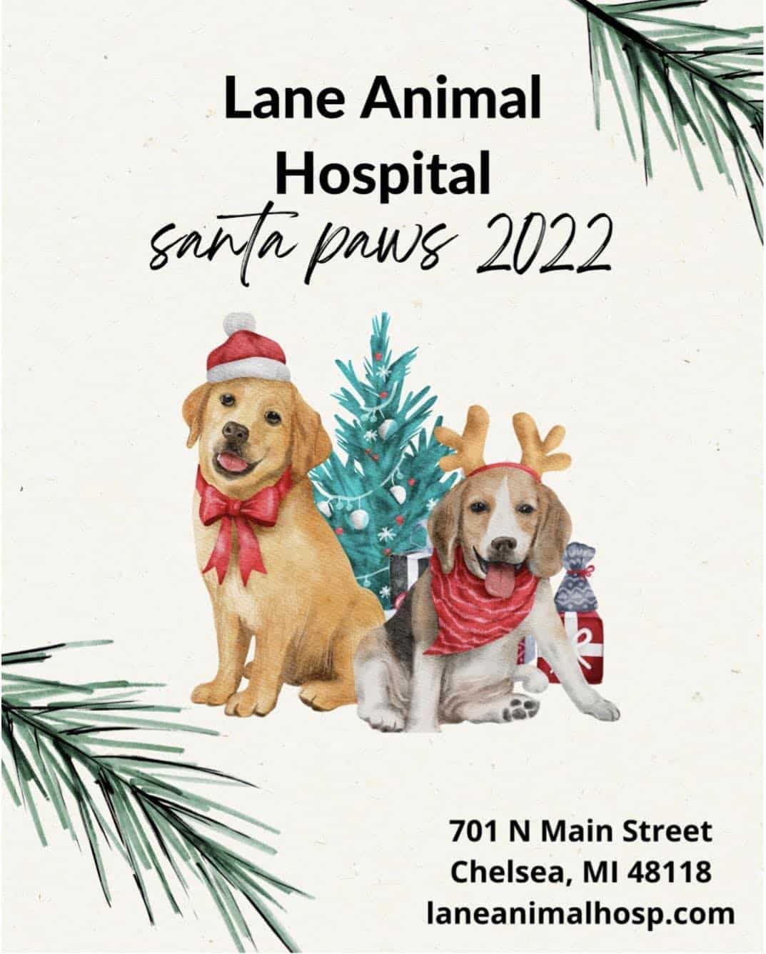 Bring Your Pet to the Lane Animal Hospital Christmas Photo Booth - Chelsea  Update: Chelsea, Michigan, News